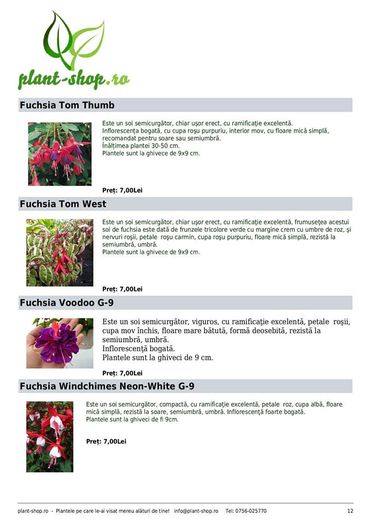 11004649_1047662245250974_1720046647781230339_o