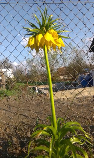 27 aprilie - A venit Primavara