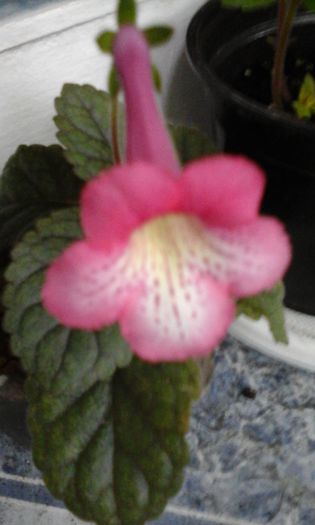 20150429_085722
