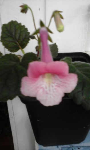 20150429_085621