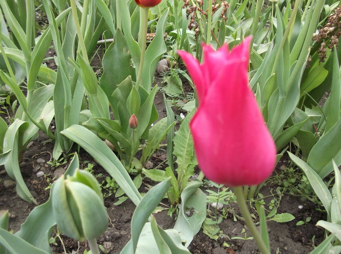 DSCF2440