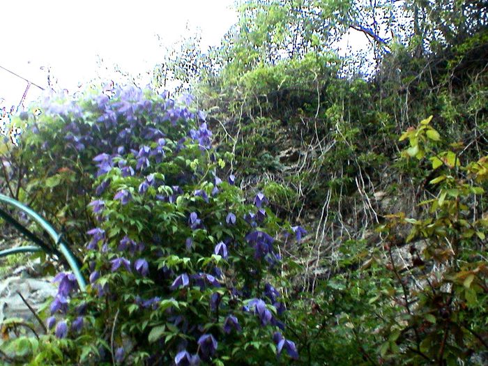 DSC01168