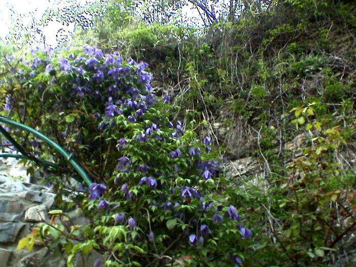 DSC01169