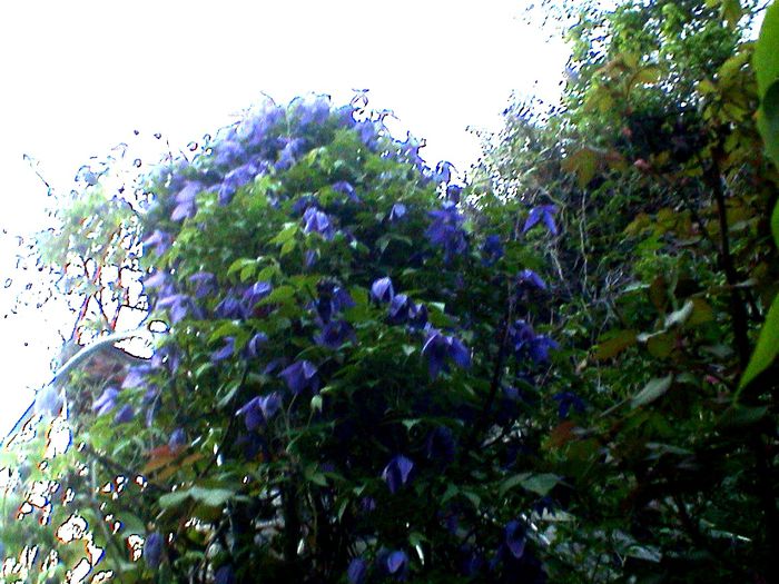 DSC01171