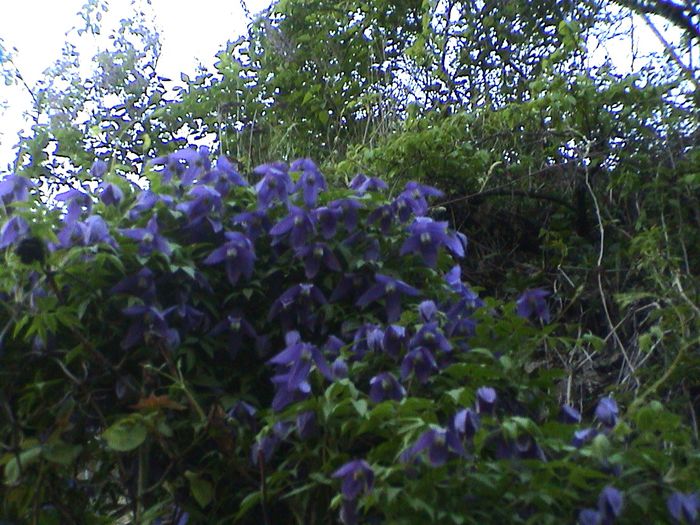 DSC01175