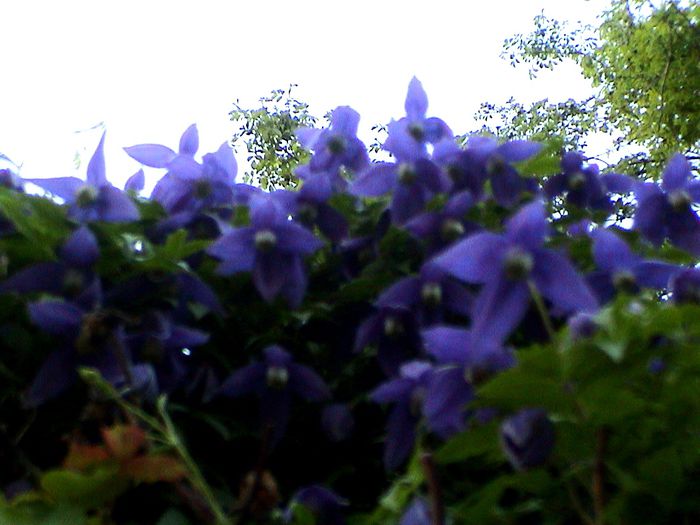 DSC01176