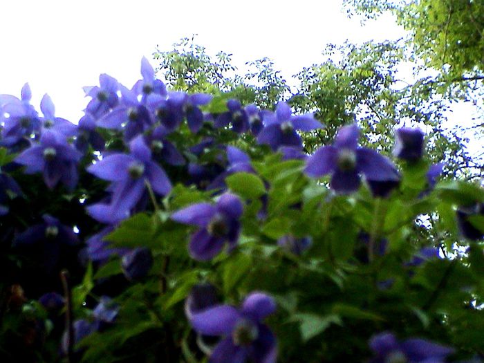 DSC01177