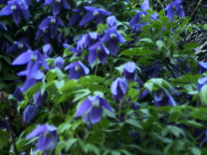 DSC01179