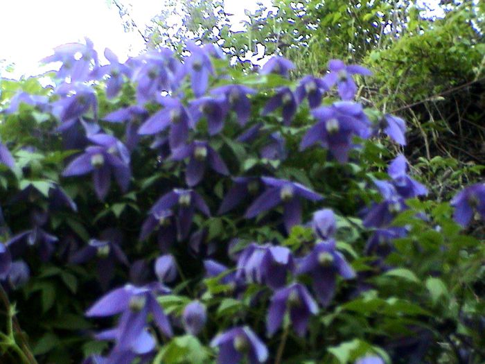 DSC01180