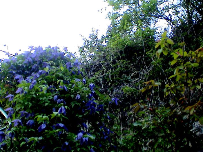 DSC01185