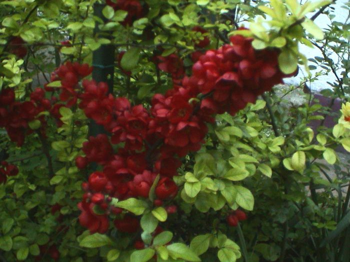 DSC01190