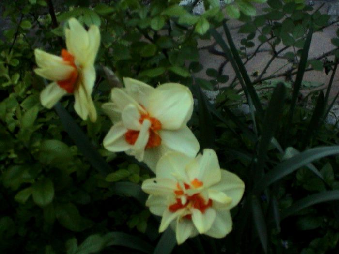 DSC01191