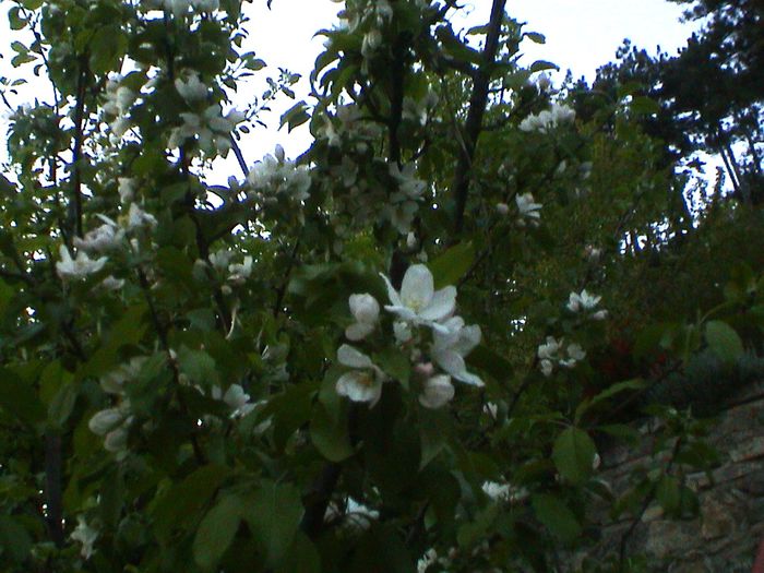 DSC01193