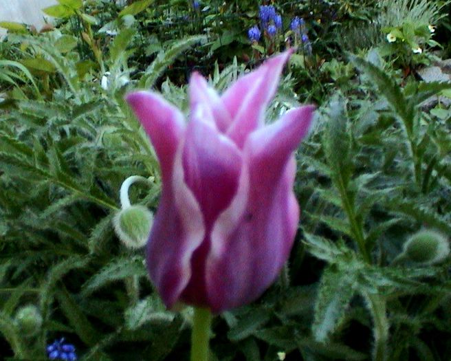 DSC01203