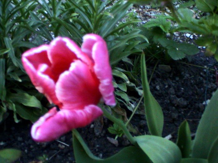 DSC01205