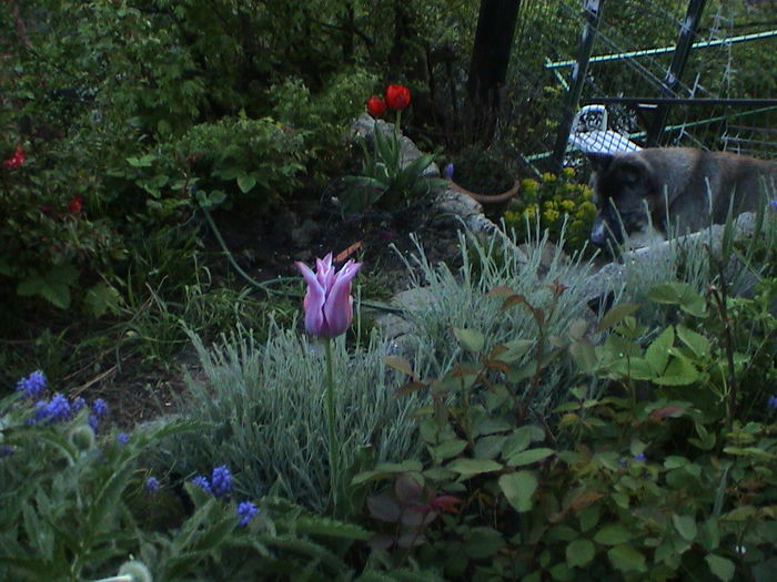 DSC01209