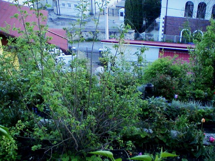 DSC01221