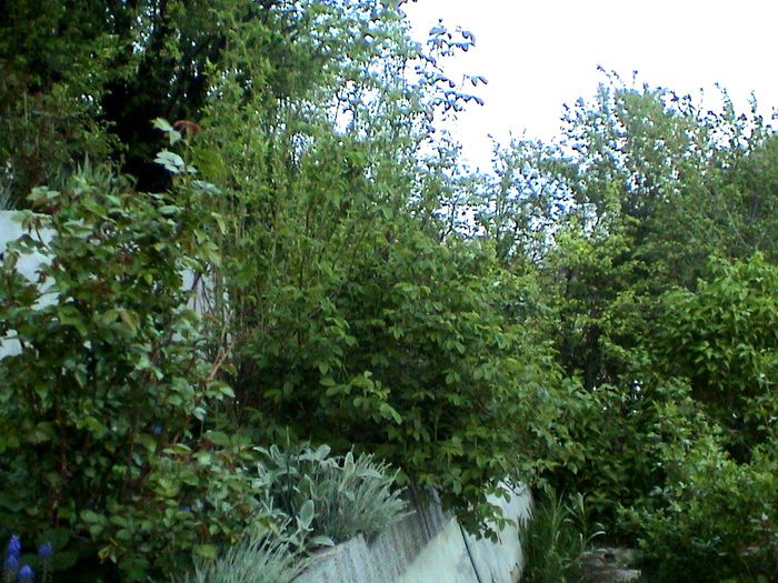 DSC01226