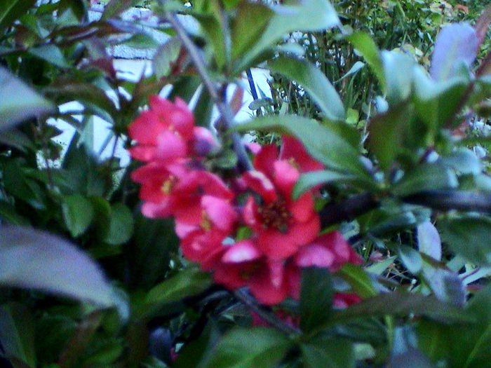 DSC01229