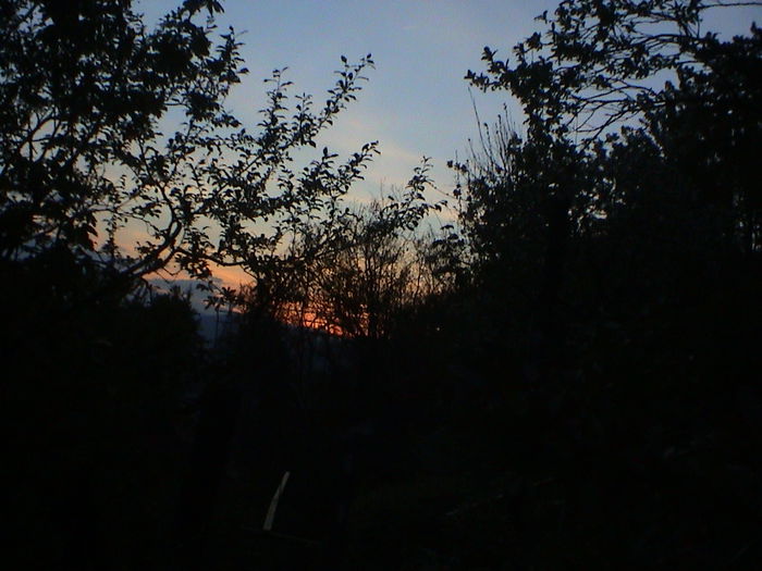 DSC01240