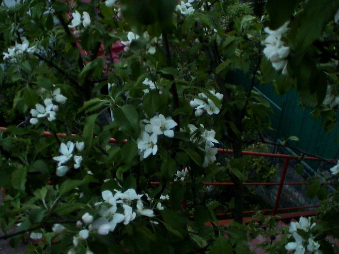 DSC01244