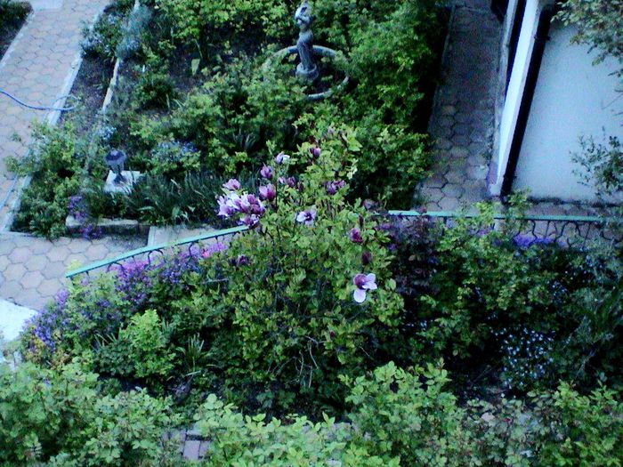 DSC01249