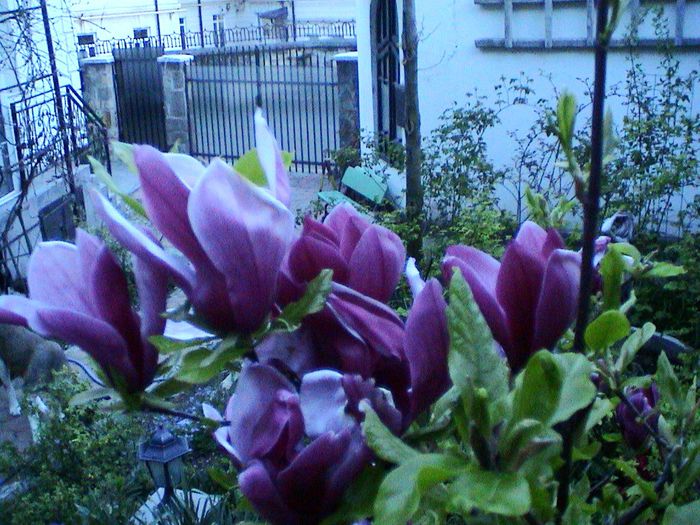 DSC01252