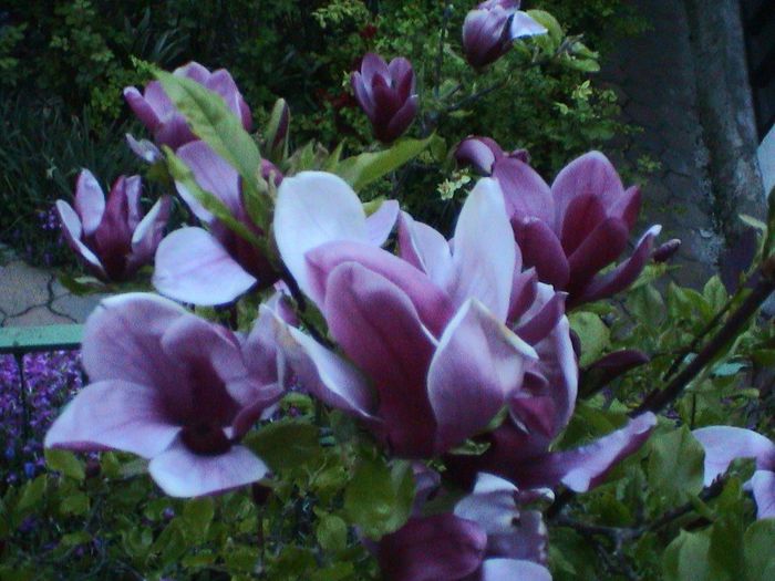 DSC01256