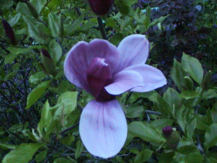 DSC01258