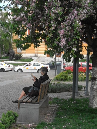 P4270343 - CALEIDOSCOP