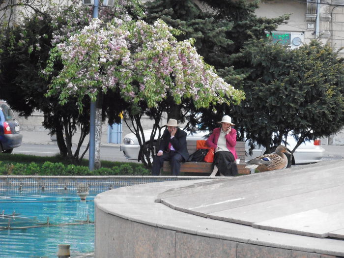 P4270290 - CALEIDOSCOP