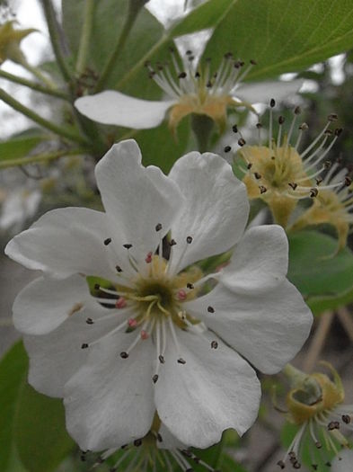 P4300891