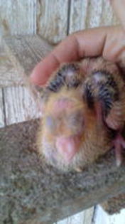 102899378_CBNYWJM[1]