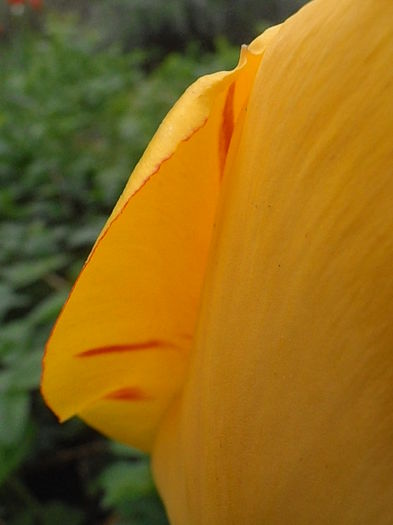 P4300845