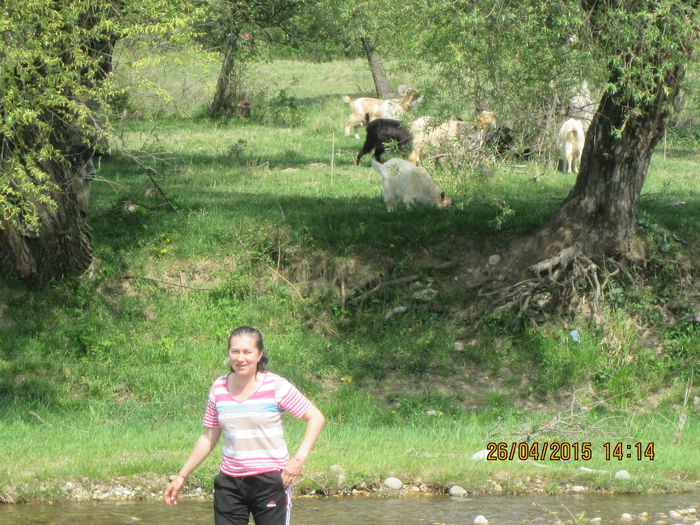 IMG_1897 - EU EU