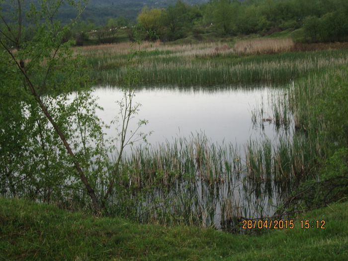 IMG_1945 - O zi la lac