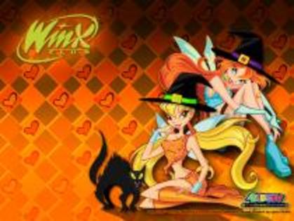 38 - WINX