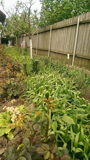 11180202_859028507502351_1622506524_n - Primavara 2014-2018