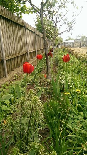 11198460_859028437502358_1604045725_n