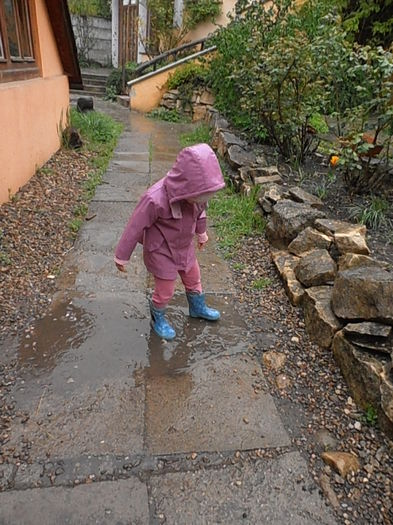 P4290580 - CALEIDOSCOP