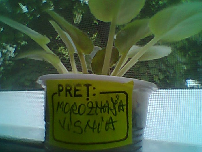 Fotogr.2147
