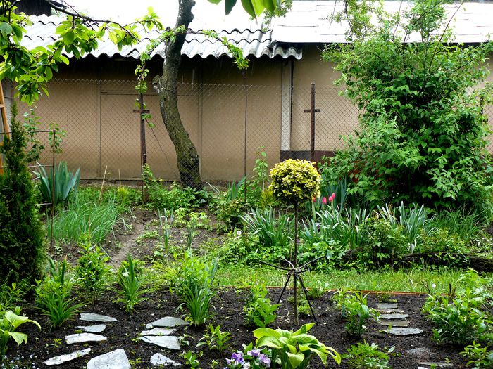 Perennial garden inceputuri_2mai; Aici se cer niste lalele !
