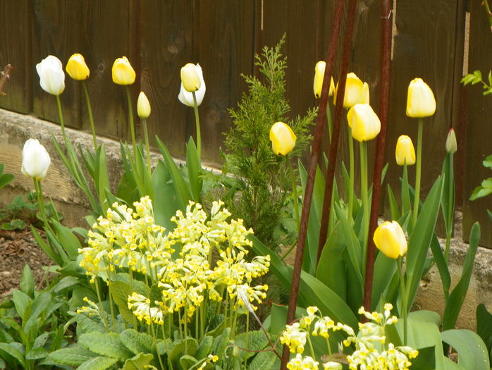 28 apr. 006 - Primavara 2015