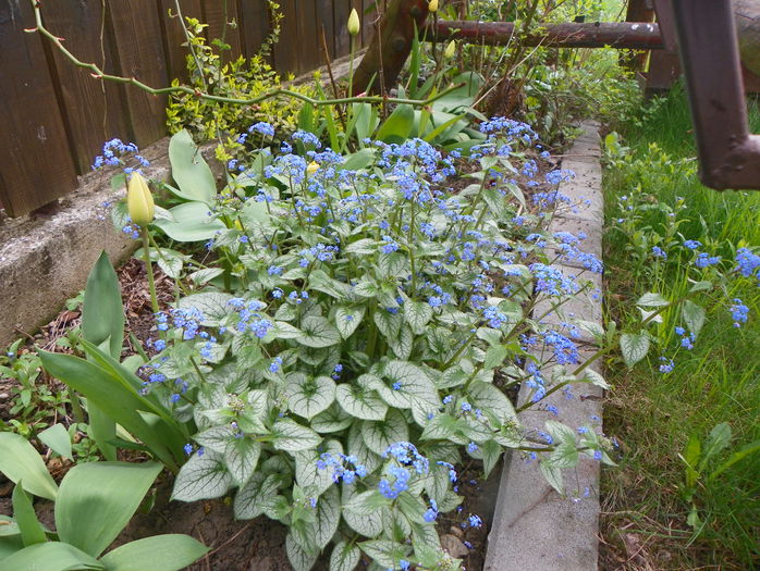 28 apr. 013 - Primavara 2015