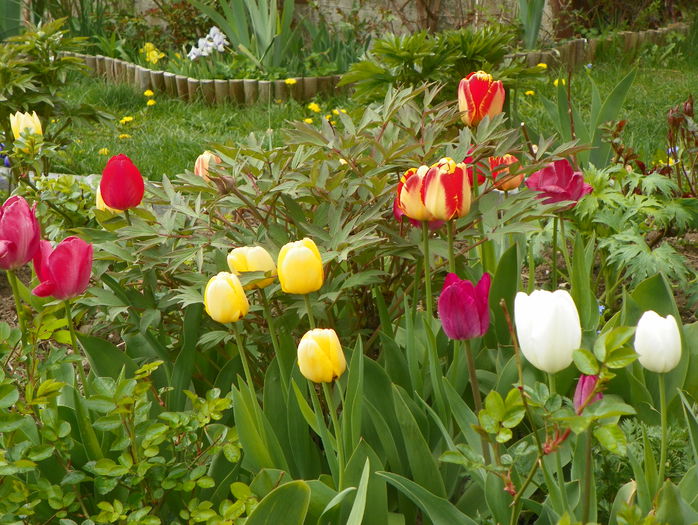 28 apr. 017 - Primavara 2015