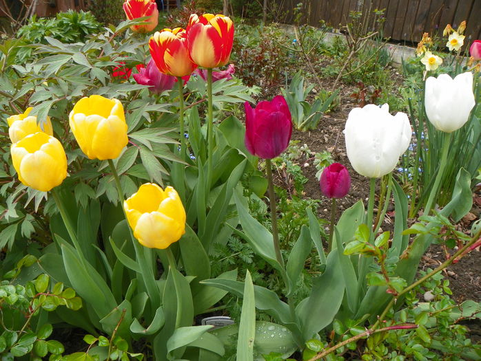 30 apr. 011 - Primavara 2015