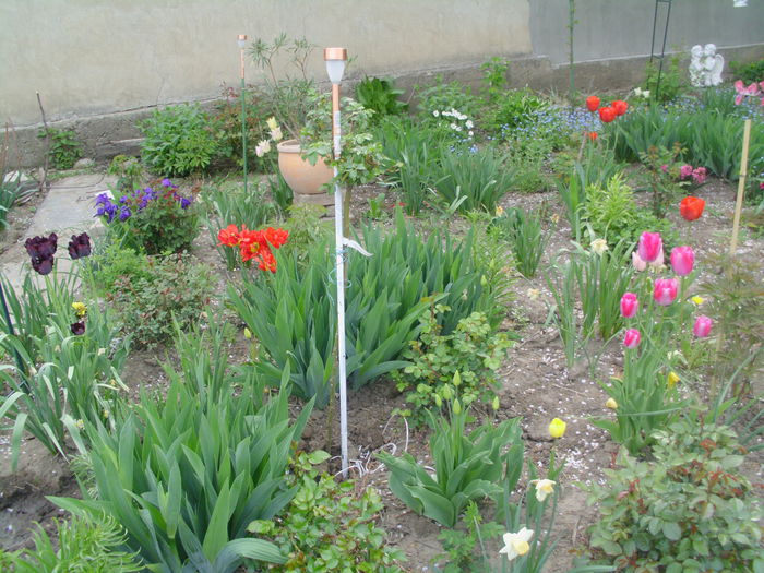 IMG_0560 - FLORI 2015