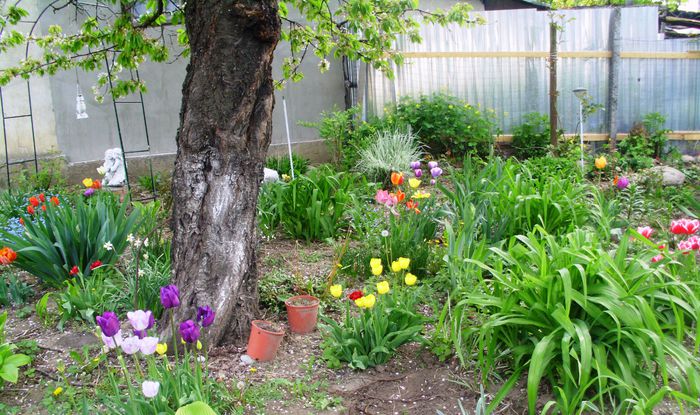 IMG_0565 - FLORI 2015