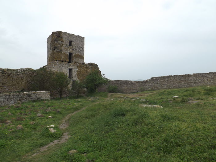 Enisala2015_6