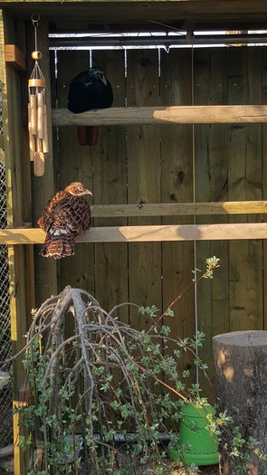 20150427_185447; Intr'o zi insorita
